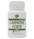 Vegan L-carnitine Forte
