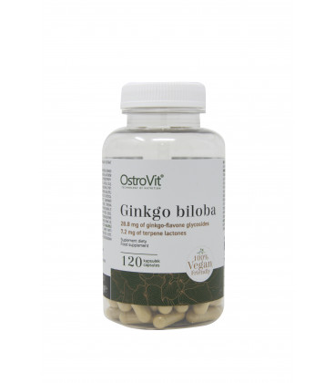 GINKGO BILOBA VEGETAL