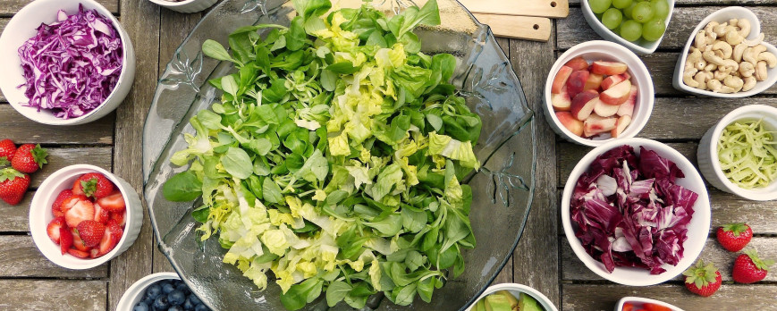 DIETAS BASADAS EN PLANTAS